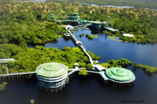 Reviva los sueños de su infancia en estos hoteles Treehouse 